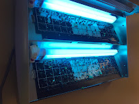 BANDIT PEST CONTROL TECHNOLOGIES - Photo 3 - Car repair in , New York