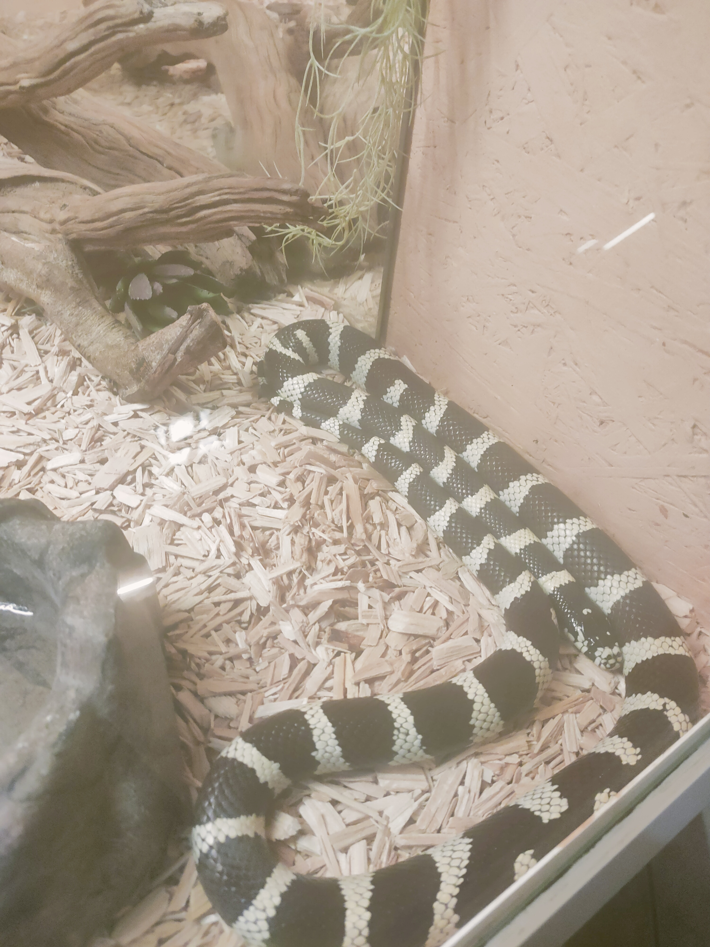 Photo n° 12 de l'avis de Karen.u fait le 03/01/2023 à 14:08