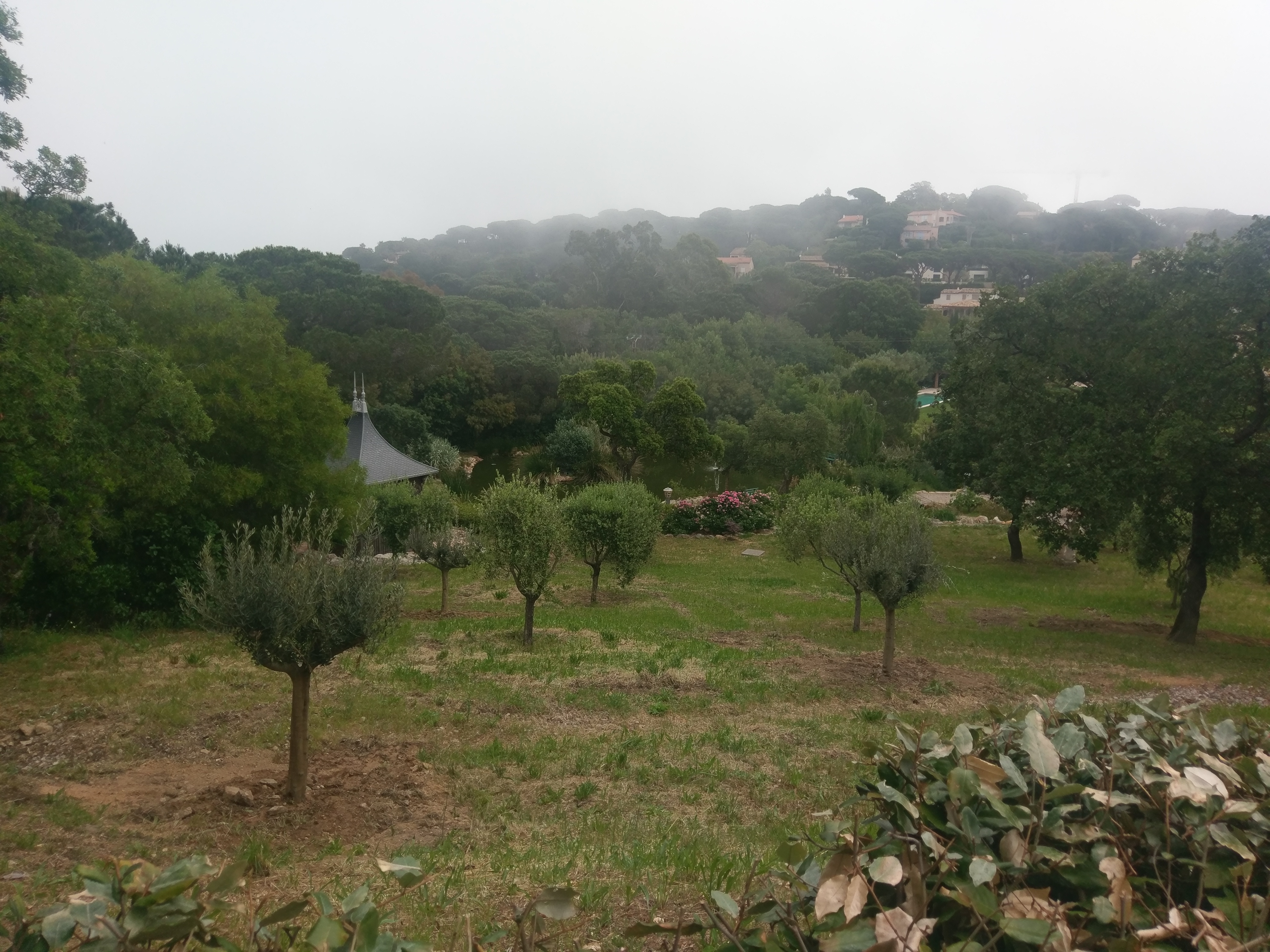 Photo n° 10 de l'avis de Éric. fait le 21/05/2017 à 07:15