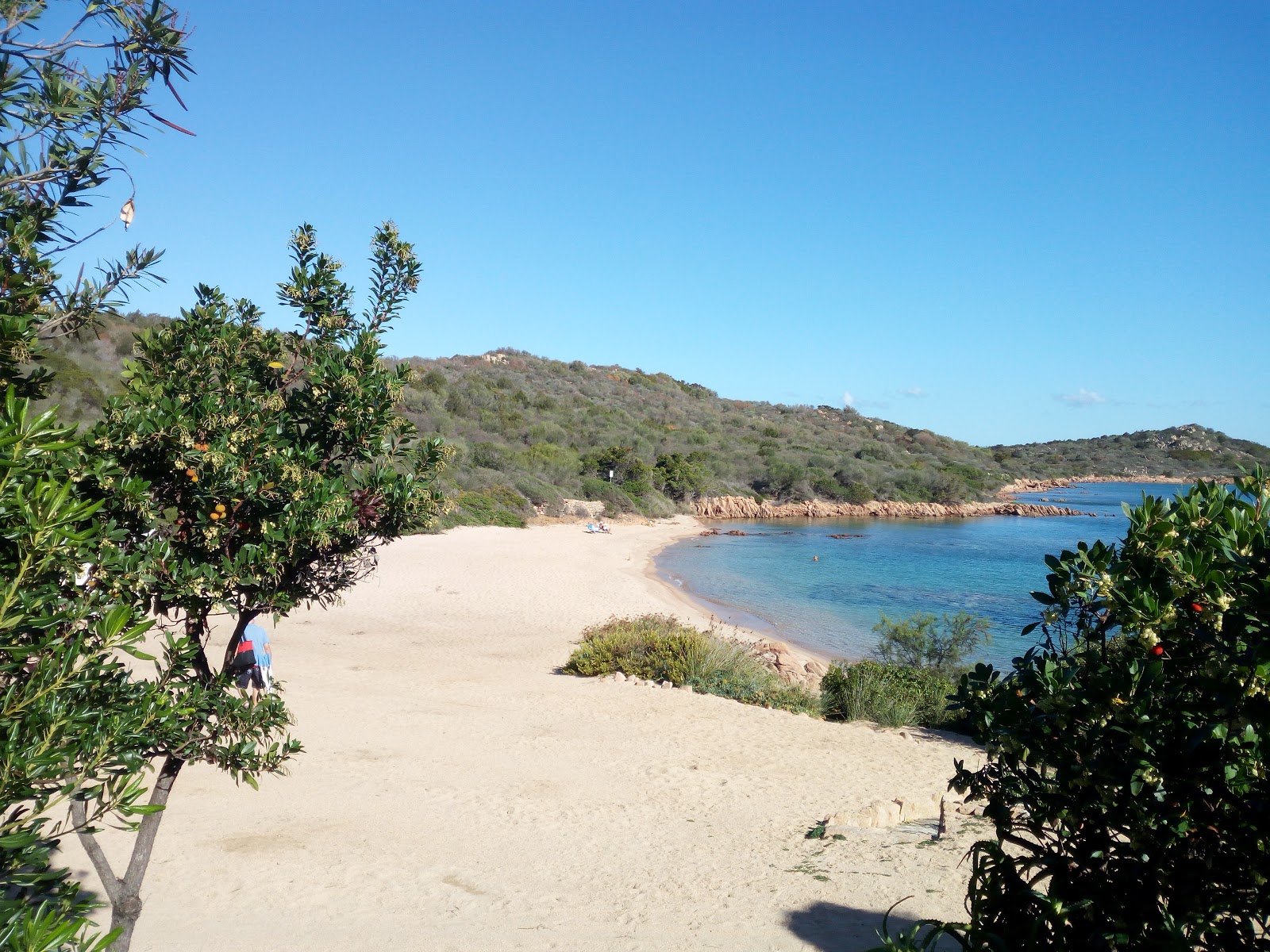 Photo of Costa Dorata beach partly hotel area
