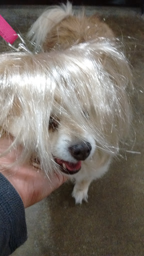 Pet Supply Store «Petco Animal Supplies», reviews and photos, 3110 S Louise Ave, Sioux Falls, SD 57106, USA