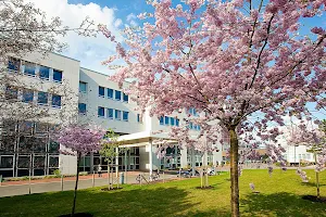 Hannover Medical School Clinic for Gynecology and Obstetrics image