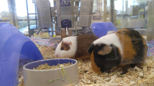 Pet Supply Store «Pet Supermarket, Inc.», reviews and photos, 9579 Bill Arp Rd #21, Douglasville, GA 30135, USA