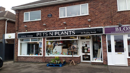 Pets & Plants