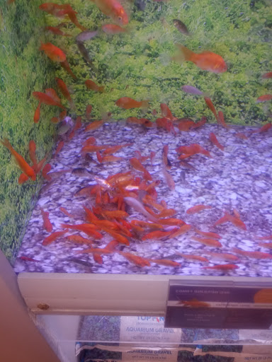 Pet Supply Store «PetSmart», reviews and photos, 8281 Troy Pike, Huber Heights, OH 45424, USA