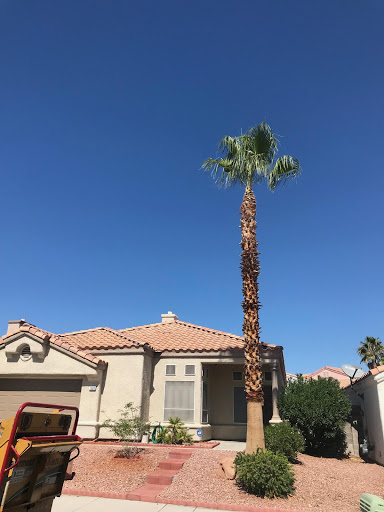 Las Vegas Superior Tree Service