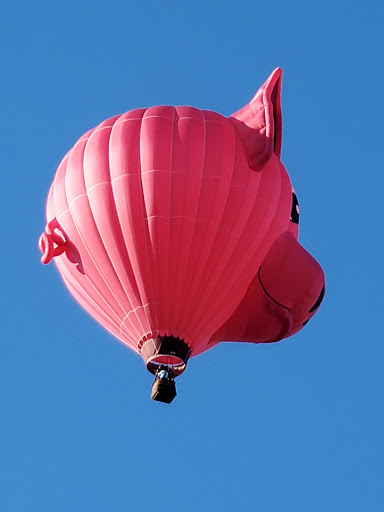 Discount Supermarket «Save-A-Lot», reviews and photos, 9505 Airport Plaza, Dansville, NY 14437, USA