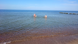 Dabkowice Beach'in fotoğrafı - rahatlamayı sevenler arasında popüler bir yer
