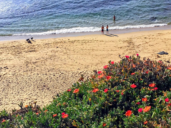 Sunset Cliffs beach
