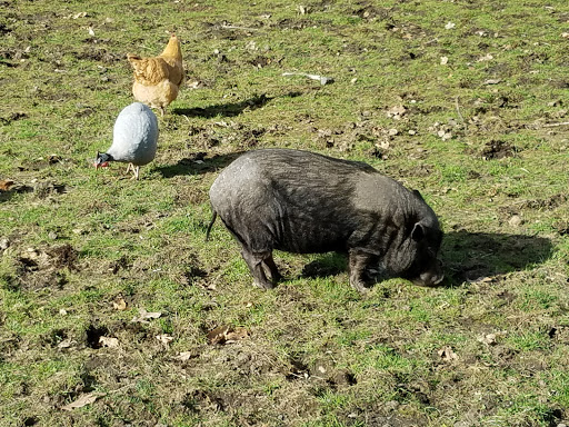 Park «Endicott Park (Town of Danvers)», reviews and photos, 57 Forest St, Danvers, MA 01923, USA