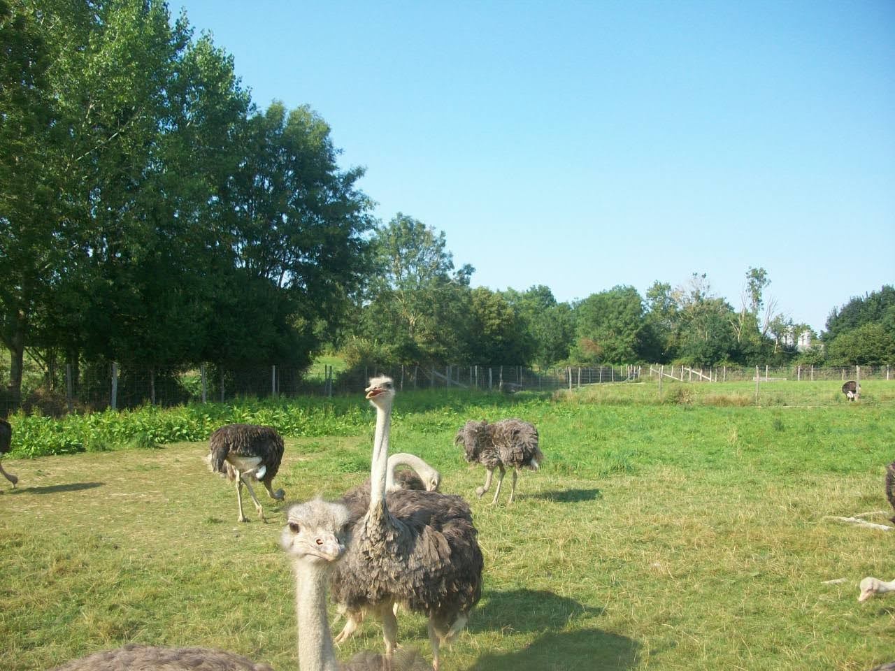 Photo n° 2 de l'avis de Julien.t fait le 07/09/2021 à 19:13
