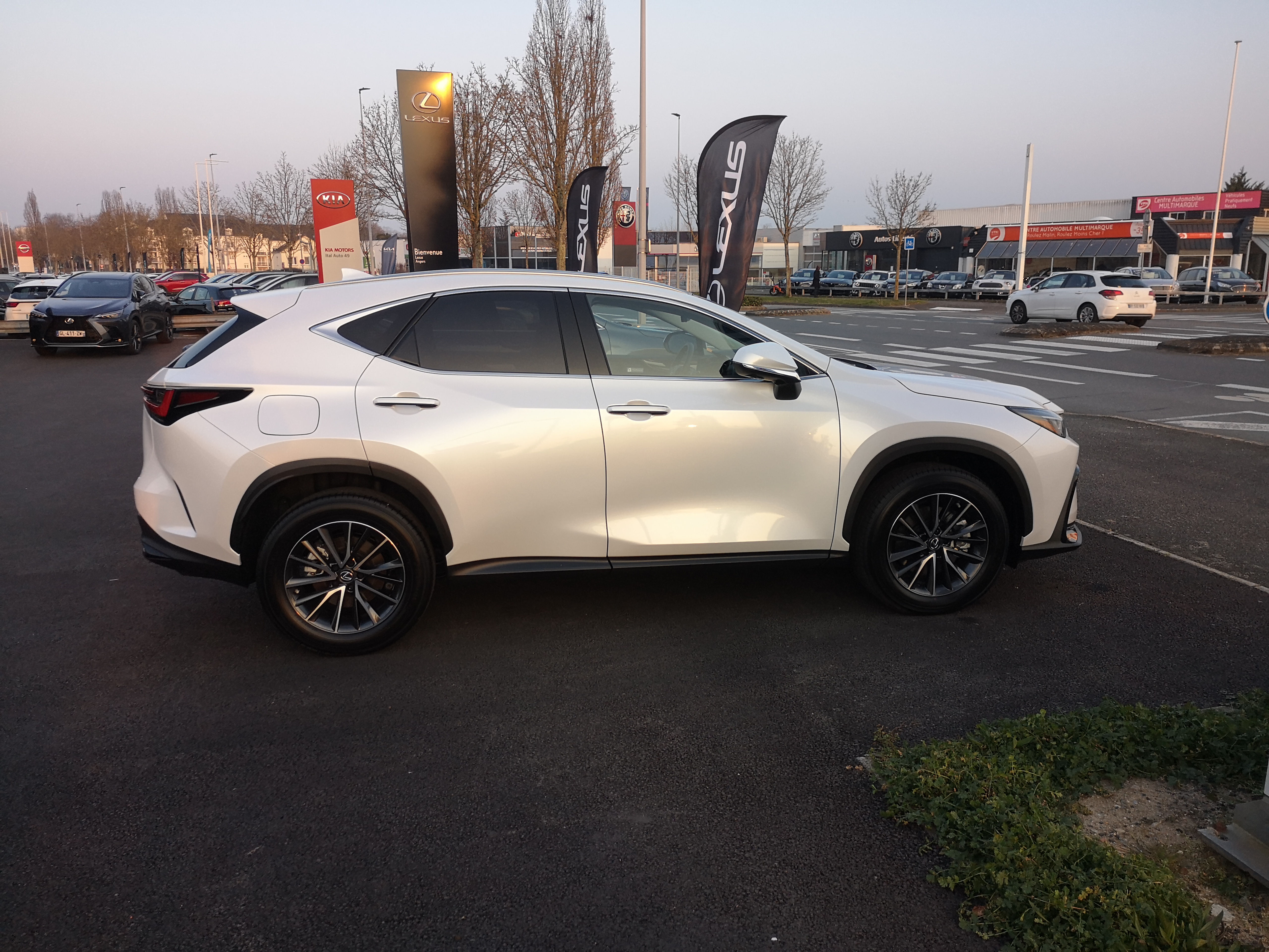 Photo n° 3 de l'avis de Delmotte.l fait le 01/04/2023 à 22:06