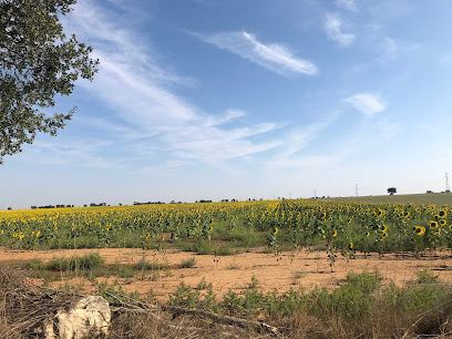 Santa Cecilia del Alcor - 34191, Palencia, Spain