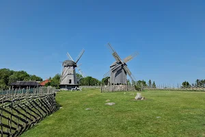 Angla Windmill Park image