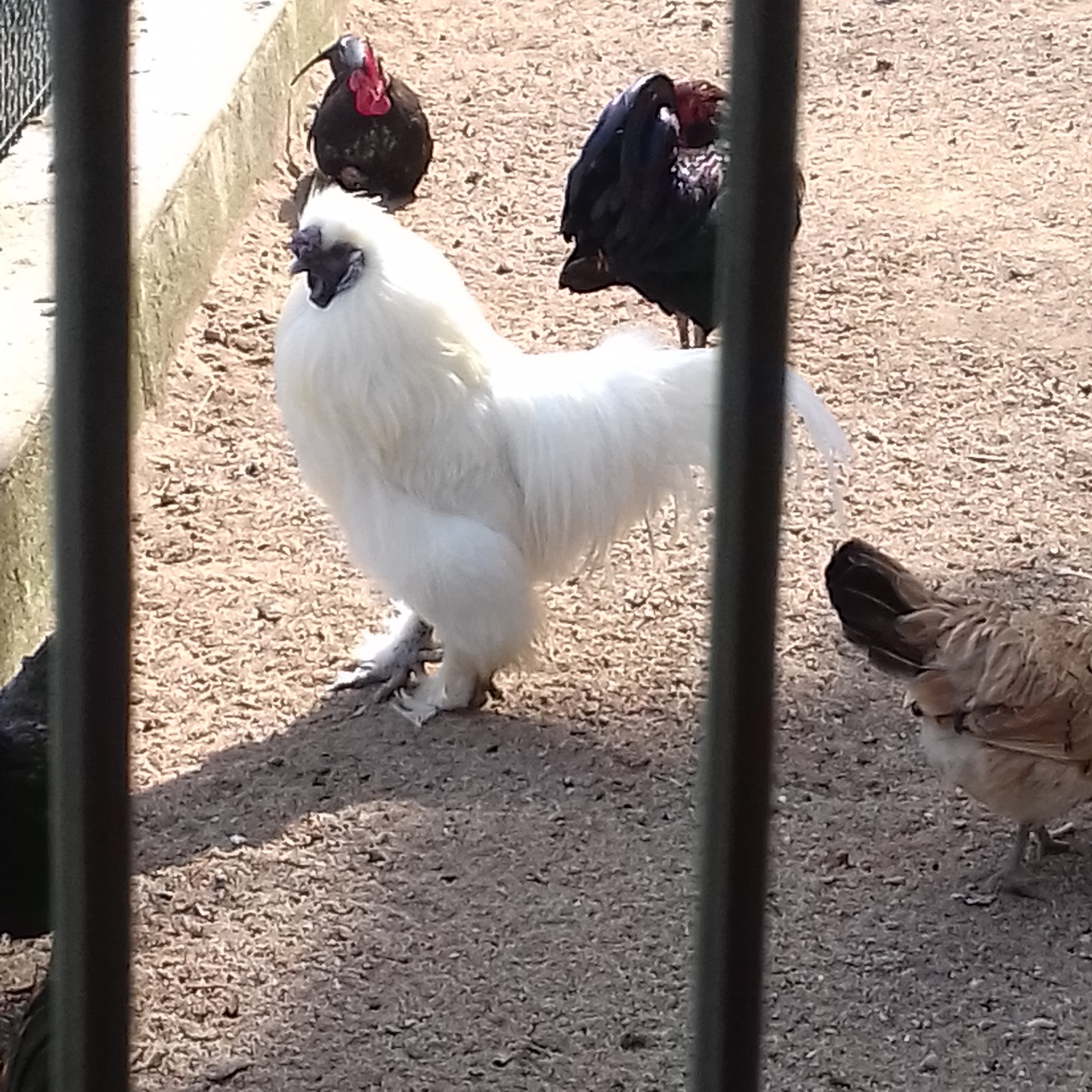 Photo n° 2 de l'avis de Nathoune.a fait le 09/05/2019 à 16:45