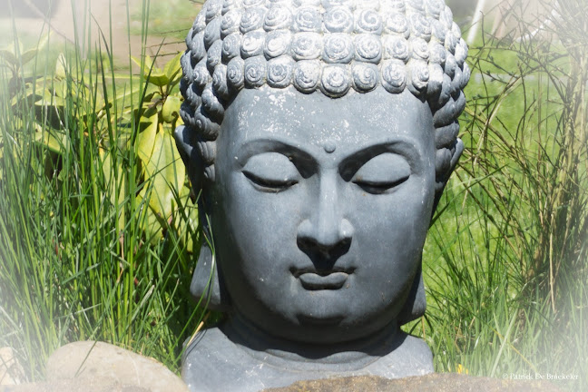 Mintaka Yoga, Meditatie, Adem- en Relaxatietherapie - Vilvoorde