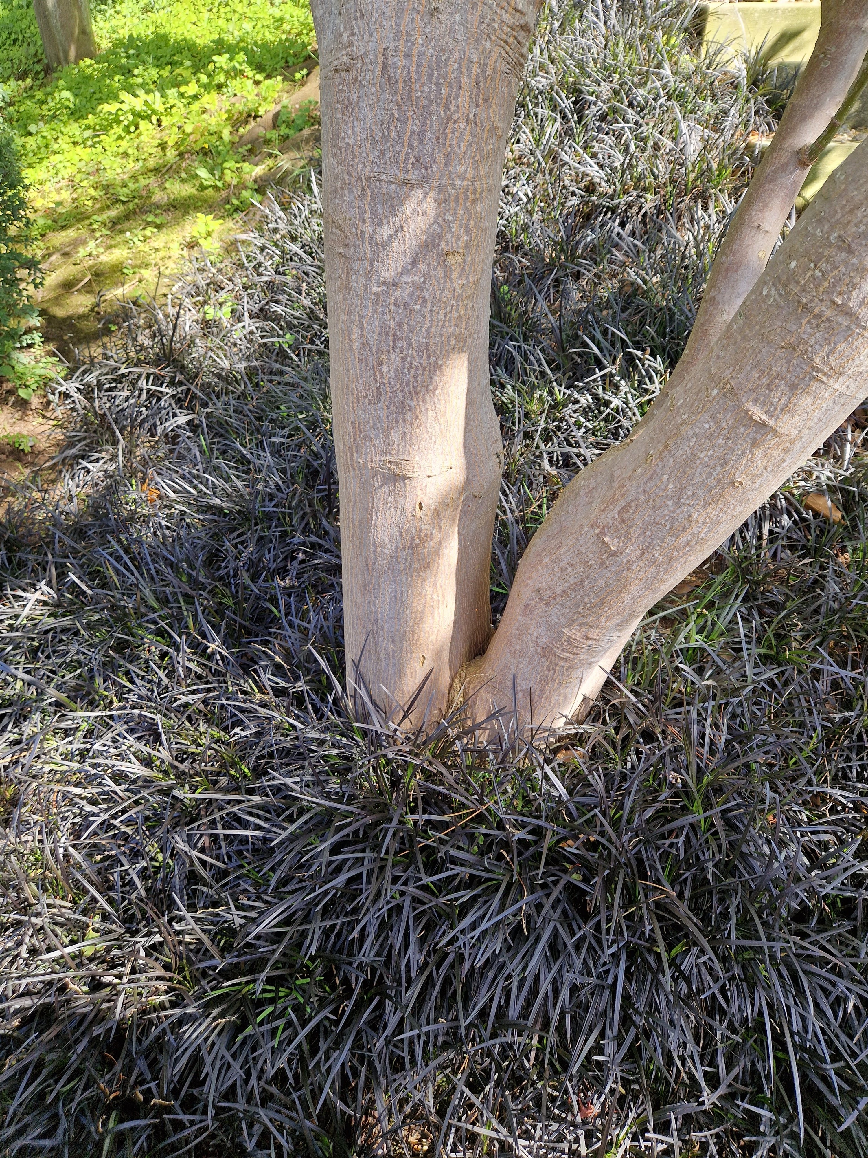 Photo n° 15 de l'avis de mystifie.d fait le 17/08/2023 à 10:34