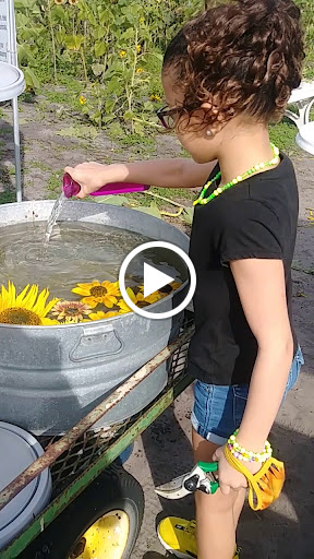 Amusement Center «Stanley Pond Adventure Farm», reviews and photos, 15426 County Rd 48, Astatula, FL 34705, USA