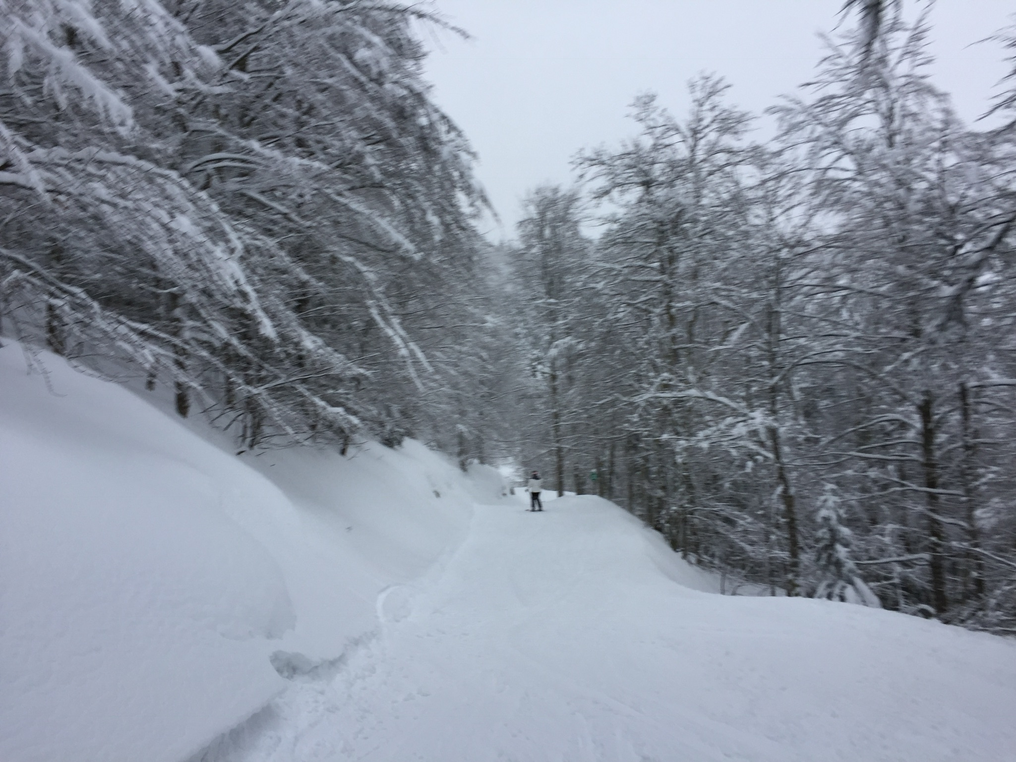 Photo n° 2 de l'avis de Xaxa.o fait le 30/01/2018 à 16:12
