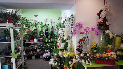 Fleurs D'T à Villeparisis