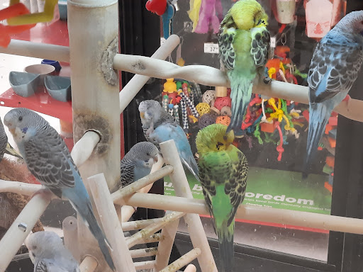 Pet Supply Store «Petco Animal Supplies», reviews and photos, 753 53rd Ave NE, Fridley, MN 55421, USA