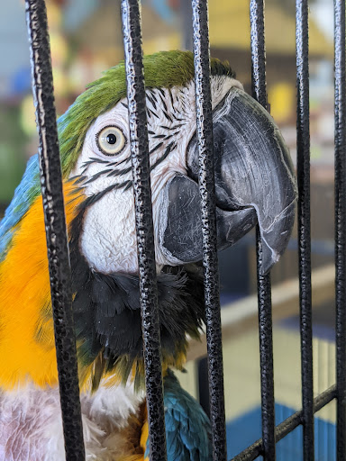 Pet Store «Animal Krackers Pet Center», reviews and photos, 3309 W 115th St, Merrionette Park, IL 60803, USA