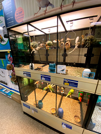 Pet Supply Store «PetSmart», reviews and photos, 19 Clifton Country Rd, Clifton Park, NY 12065, USA