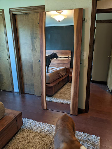 Moving Company «Porter Moving Company», reviews and photos, 1825 Edgewood Rd SW, Cedar Rapids, IA 52404, USA