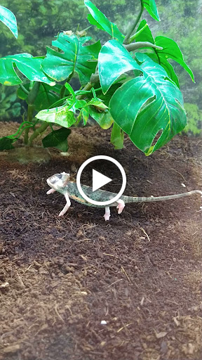 Pet Supply Store «Petco Animal Supplies», reviews and photos, 5850 Sepulveda Blvd, Van Nuys, CA 91411, USA