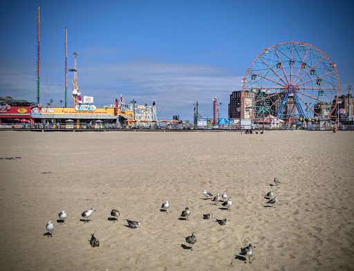 Park «Asser Levy Park», reviews and photos, 302 Sea Breeze Ave, Brooklyn, NY 11224, USA