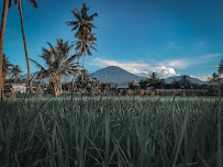 Foto SD  Negeri 1 Aikmel Utara, Kabupaten Lombok Timur