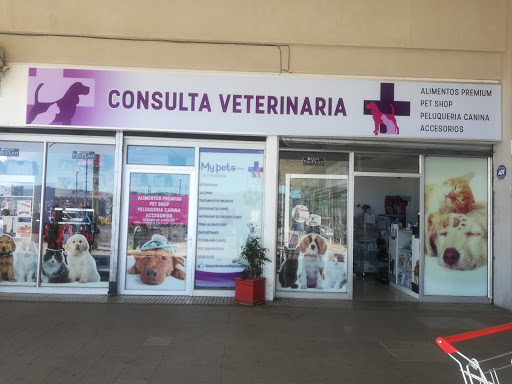 Consulta Veterinaria My Pets