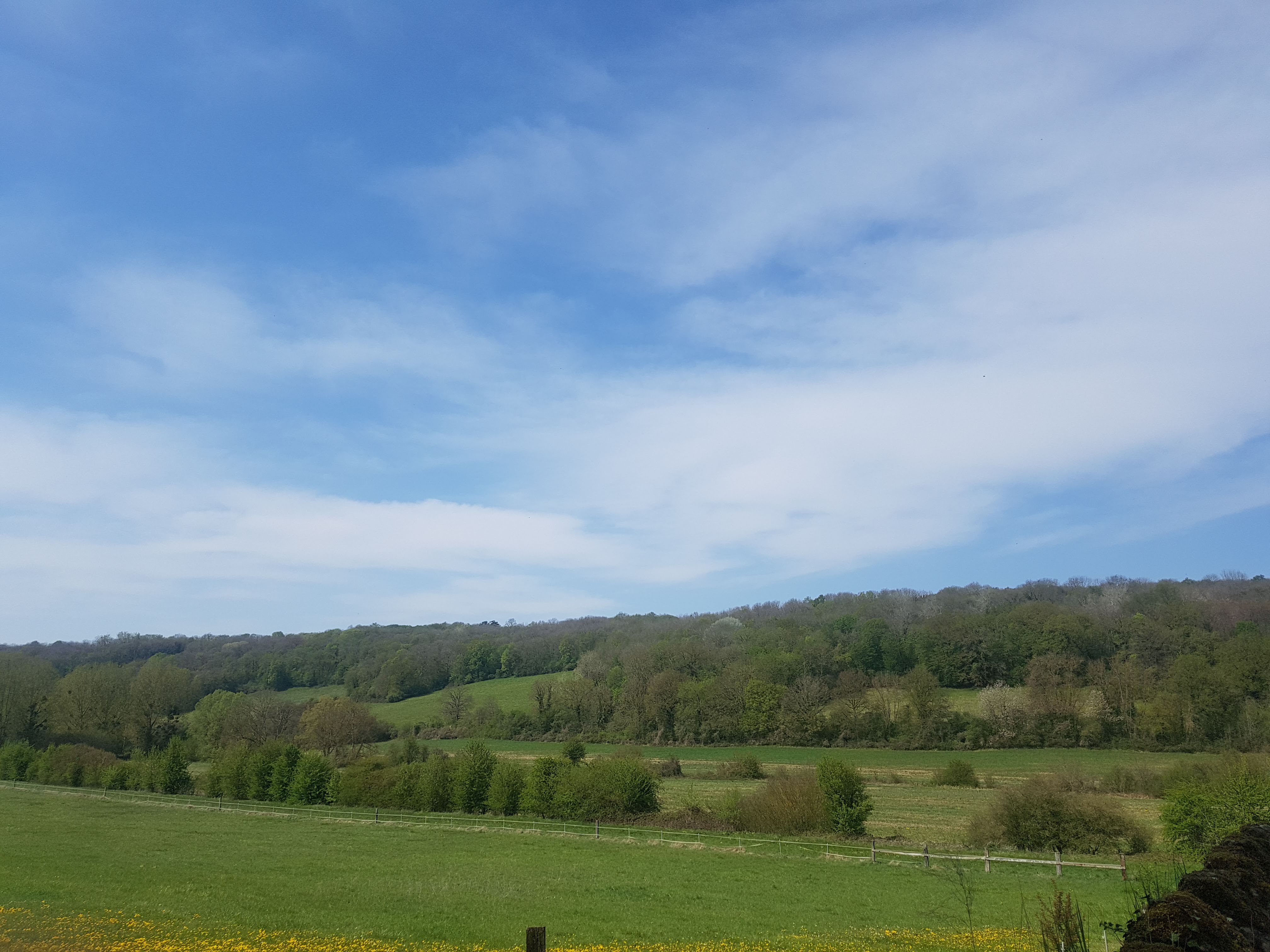 Photo n° 30 de l'avis de Isabelle.e fait le 21/04/2019 à 18:53