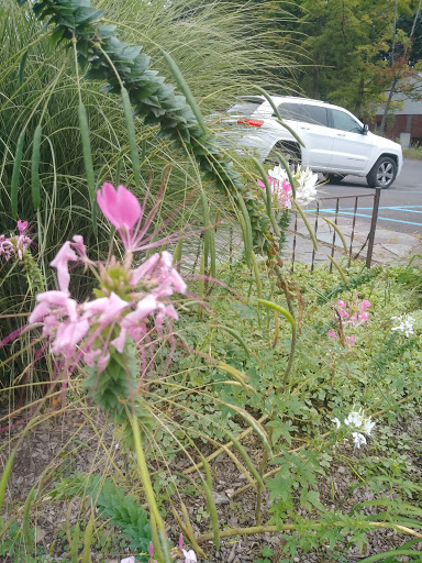 Art Supply Store «Catskill Art & Office Supply», reviews and photos, 35 Mill Hill Rd, Woodstock, NY 12498, USA