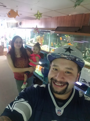 Pet Groomer «Animal Kingdom Grooming», reviews and photos, 339 S Santa Fe Ave, Pueblo, CO 81003, USA