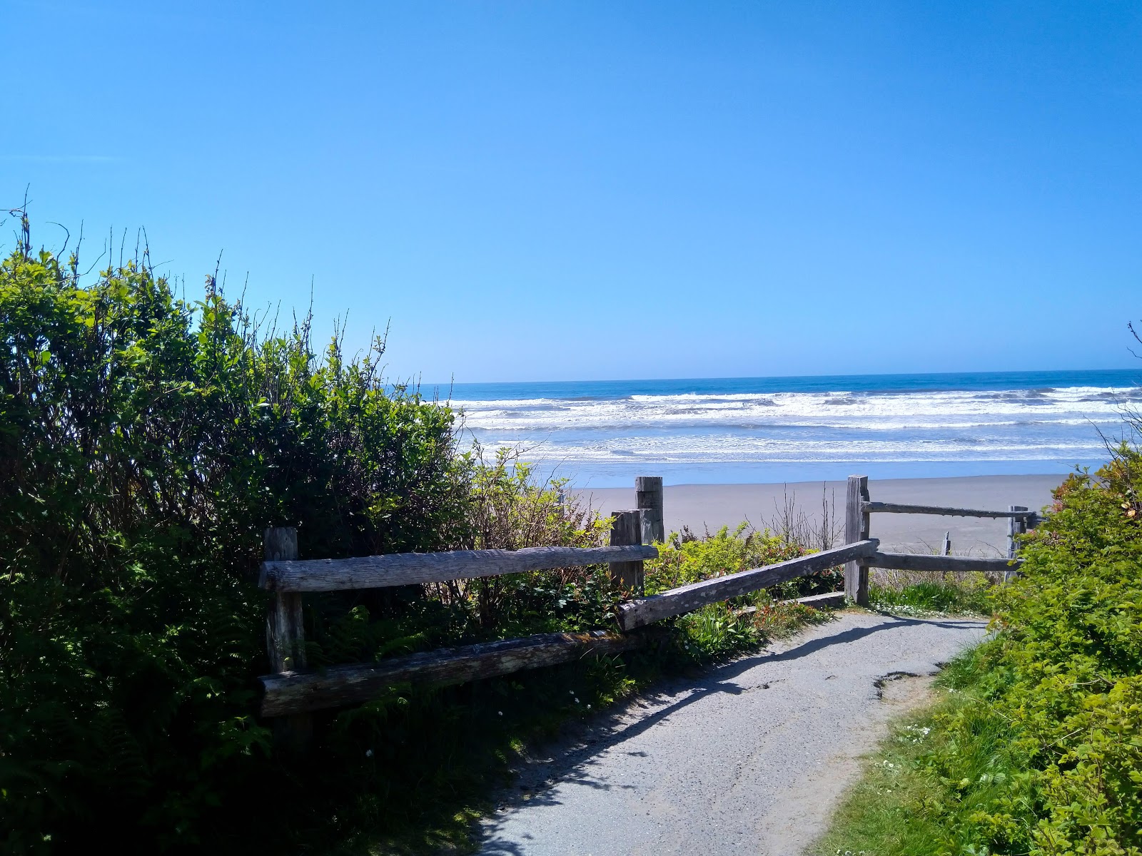 Zdjęcie Kalaloch Beach - popularne miejsce wśród znawców relaksu