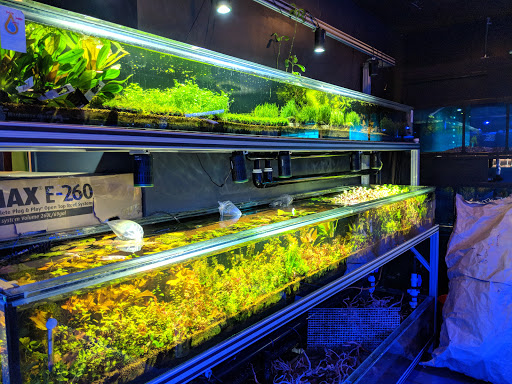 Manhattan Aquariums image 5