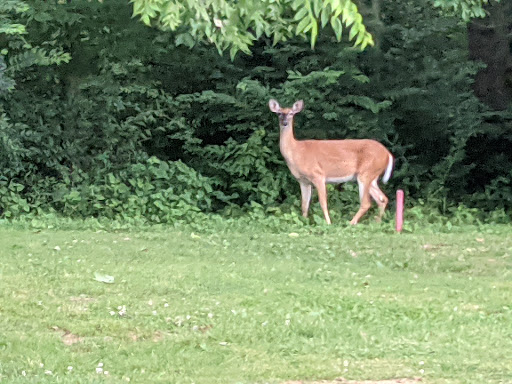 Golf Course «Seneca Golf Course», reviews and photos, 2300 Pee Wee Reese Rd, Louisville, KY 40205, USA