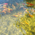 Photo n°1 de l'avis de Marua.o fait le 28/07/2018 à 14:23 sur le  Casa de Baixo - TER à Alvoco Das Várzeas