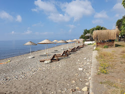 Gargara Kamp beach'in fotoğrafı ve yerleşim