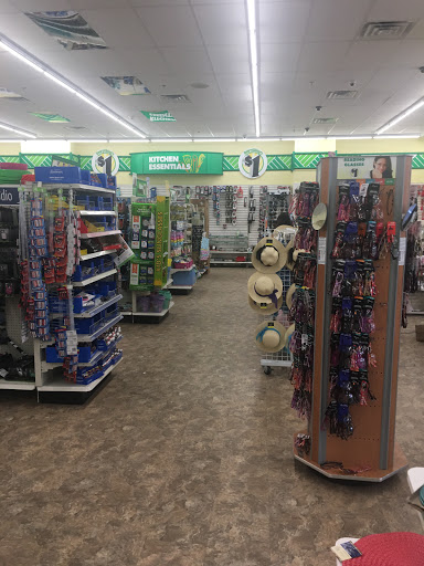 Dollar Store «Dollar Tree», reviews and photos, 100 Mamaroneck Ave, White Plains, NY 10601, USA