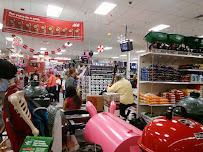 Cherry Creek Ace Hardware - Photo 3 - Car repair in Denver, CO, Highlands Ranch