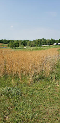 Golf Course «Chariot Run Golf Course», reviews and photos, 8191 Chariot Run Dr SE, Laconia, IN 47135, USA