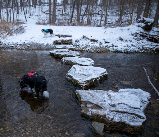 Nature Preserve «Sweet Arrow Reserve», reviews and photos, 789 Little Sugarcreek Rd, Sugarcreek Township, OH 45440, USA