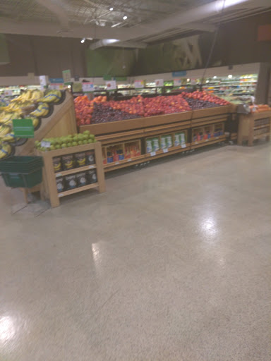 Supermarket «Publix Super Market at Temple Terrace», reviews and photos, 5450 E Busch Blvd, Temple Terrace, FL 33617, USA