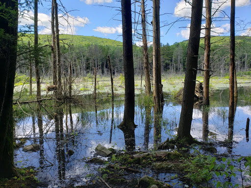 State Park «Swatara State Park», reviews and photos, 1450 Suedberg Rd, Pine Grove, PA 17963, USA