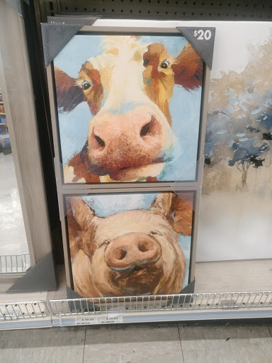 Discount Store «Big Lots», reviews and photos, 2350 E Lohman Ave, Las Cruces, NM 88001, USA