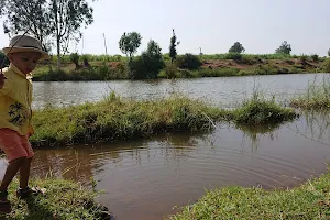 Warana River View Point image