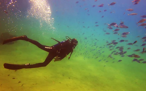 Perth Ocean Diving image