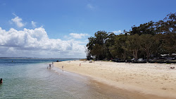 Foto von Little Beach Nelson Bay annehmlichkeitenbereich